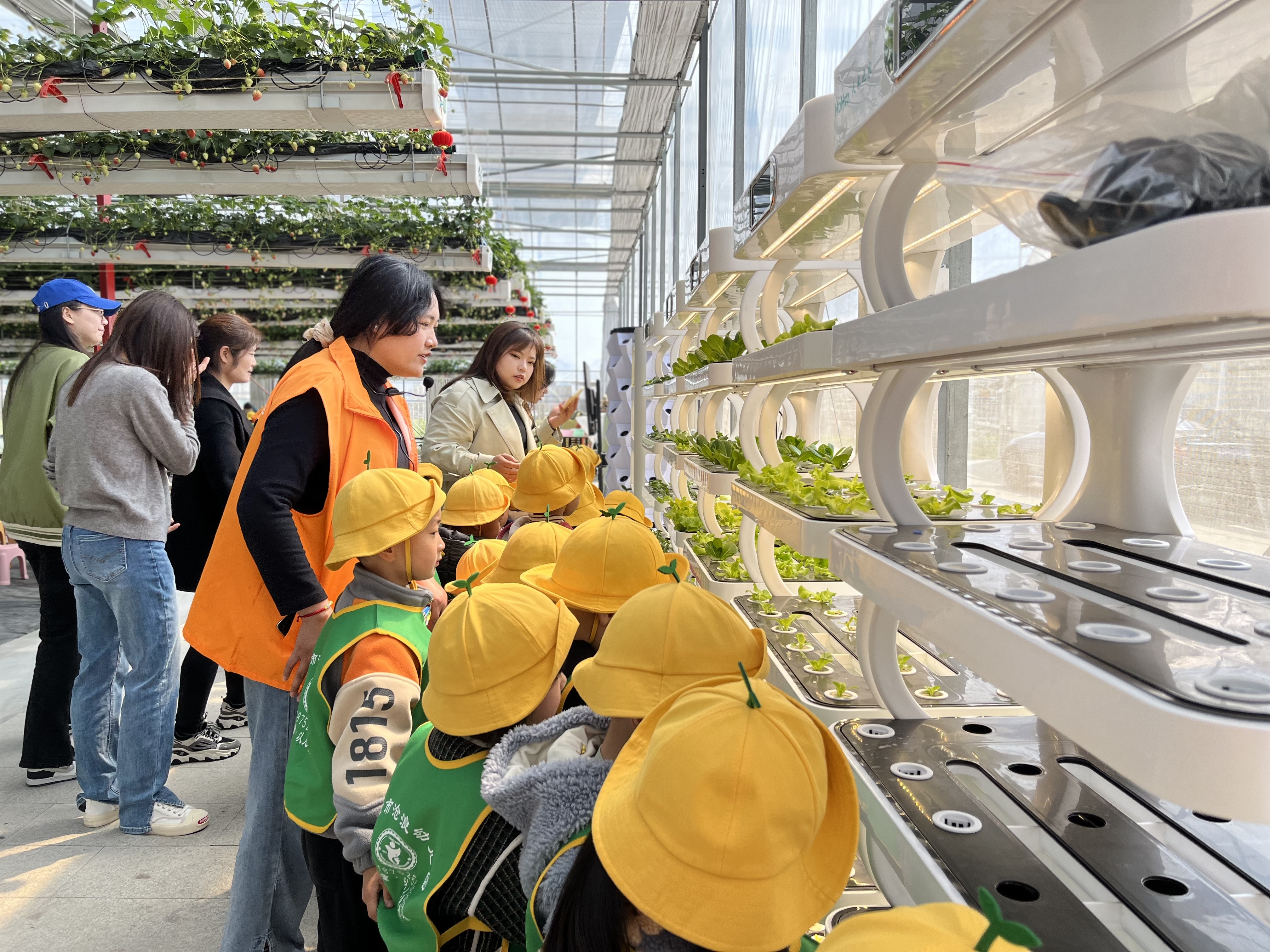 Hidroponía vertical interior inteligente que ahorra espacio con LED 