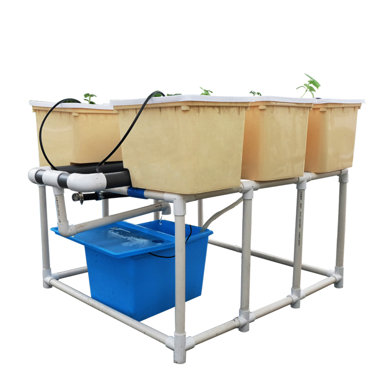 Cubo holandés hidropónico con riego automático de calidad alimentaria Aquaponic