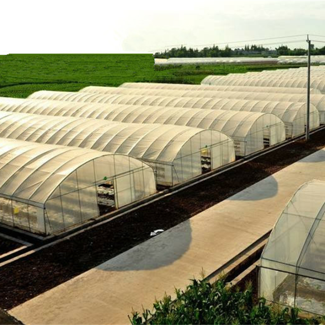 Invernadero de túnel agrícola ventilado resistente a los rayos UV