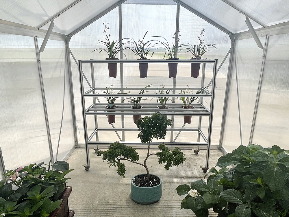 Invernadero de jardín de aluminio con hoja triangular de PC para jardinería 