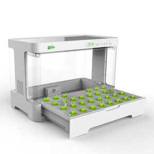 Sistema de cultivo hidropónico de jardín inteligente para el hogar al mejor precio de alta calidad