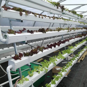 Tuberías hidropónicas reflectantes a gran escala y fáciles de limpiar