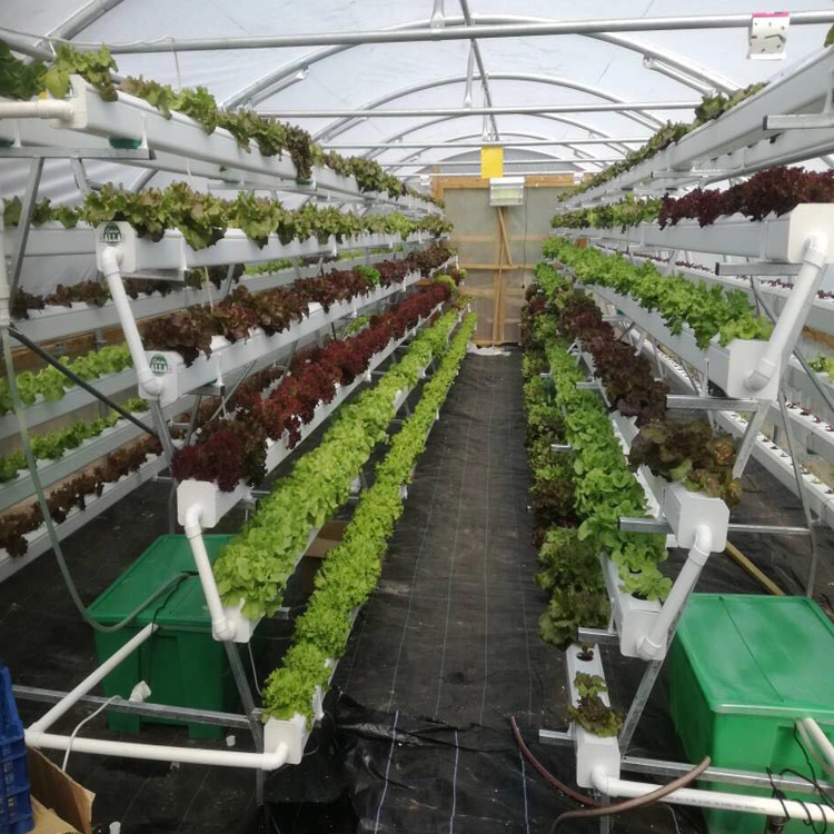 Tuberías hidropónicas reflectantes a gran escala y fáciles de limpiar